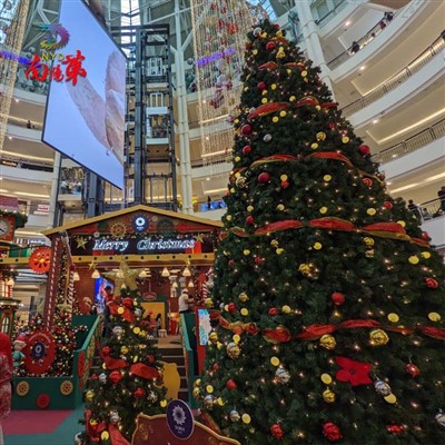 Copaci de Crăciun cu turn uriaș